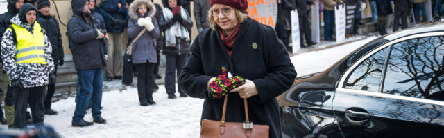 Vaenukõneseadus meeldib ainult äärmusliberaalidele ja vasakpoolsetele, sest see teenib neid