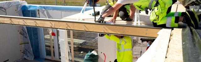 Puitmajaehitus kasvatab endale ise järelkasvu