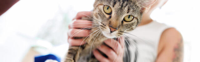 VÄRSKED PERVERDIUUDISED: sotsministeeriumil on laste kohitsemise kinnisidee