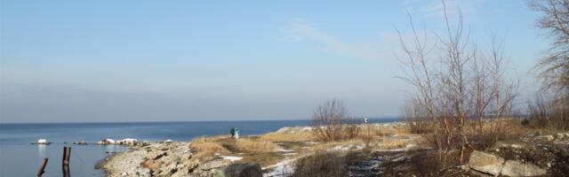 Rohkem metsikut ruumi!