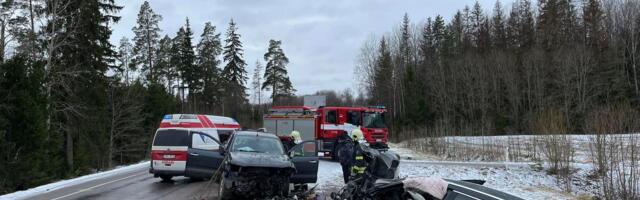 VIDEO Kahe auto kokkupõrkes sai viga viis inimest ja hukkus koer