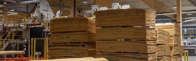 PUIDUTURG | Paus Estonian Celli tootmises toob hinna alla