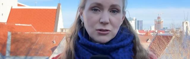 LÕBUS VIDEO | Kajakas varastas Tallinnas otse-eetris Soome ajakirjanikult päikeseprillid