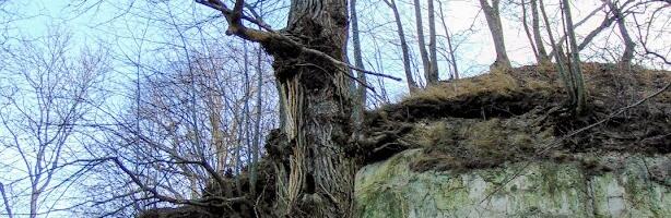 RUSLAN DONTSOVI GALERII: Lubja mägi veebruari lõpus