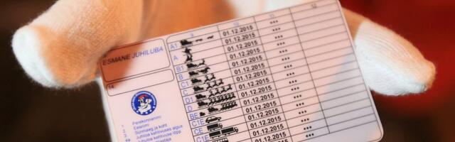 AUTOKOOLIDE LAHING ⟩ Kes pakub soodsamat juhiluba?