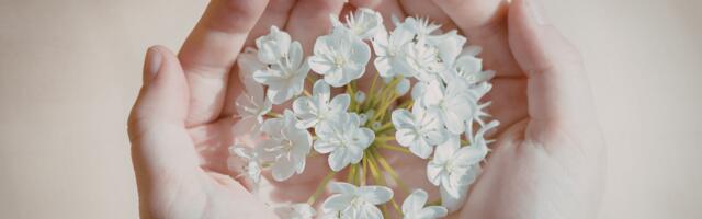 Kas kannad endas maapealse ingli loomust? 6 märki, mis sellele vaikselt viitavad