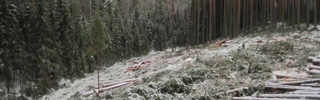 Eesti kasvuhoonegaaside koguheide suurenes