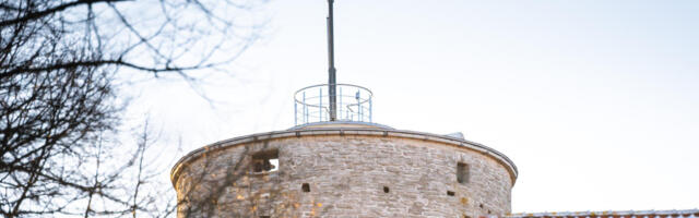 Põhimõtte Koda: eesti keel ja kultuur vajavad teadlikumat kaitset