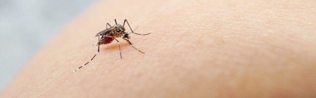 Soome asjatundjad: malaariavaktsiin on märkimisväärne saavutus