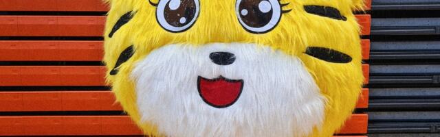 Paide korvpalliklubi maskott sai konkursi korras vahva nime