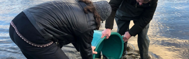 NARVA JÕKKE VIIDI 50 TELEMEETRIAMÄRGISEGA LÄÄNEMERE TUURA