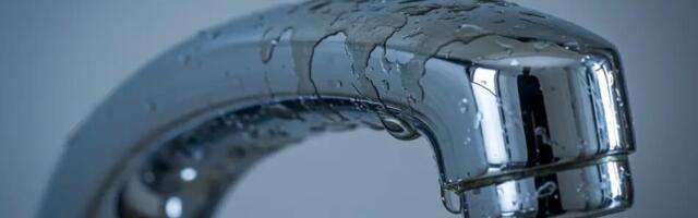 Veeplekid segistitel? Paar tilka ja probleem on lahendatud