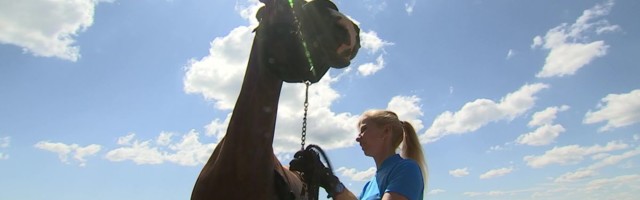 Reporter: Eestit olümpial esindav Donna Anna asus Tokyo poole teele