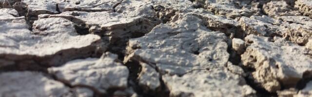 Regionaalminister Kallas: valitsus palub põllumeeste koostööpartneritel olla mõistvad põuast tekkinud raskustega toimetulekul