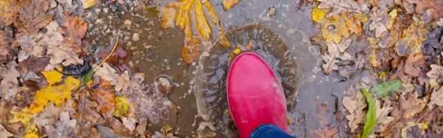 ILMATEADE | Nädala lõpus langeb temperatuur märgatavalt