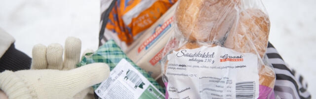 Säästueksperiment: kas AI suudab koostada Eesti toidupoodide põhjal odava ja tervisliku toidukorvi?