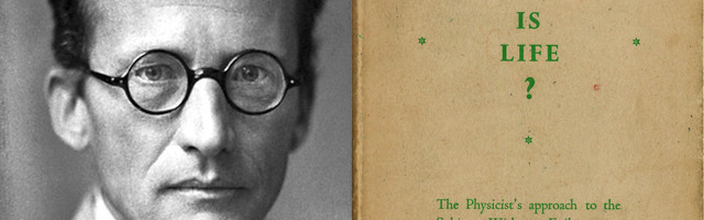 Adam Frank: mis on elu ja miks materialistlik teadus pole sellele küsimusele vastanud?