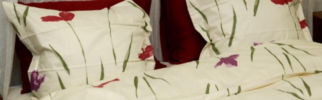 Lugejakiri | Puhtusefriigist mees kasutab voodis kutsikatele mõeldud linasid