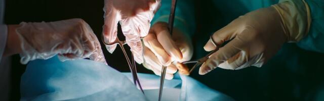 Hispaanias ületati mullu elundisiirdamise rekord