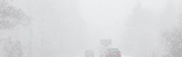 Transpordiamet hoiatab: tihe lumesadu ja tugev tuul muudavad Lõuna-Eestis teeolud keeruliseks