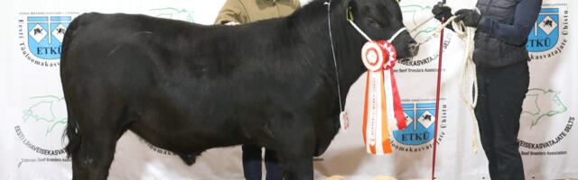 Harjumaatõupulliaretajasai jackpot´i