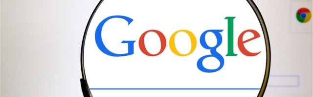 Milliseid poode otsiti Eestis 2020. aastal kõige enam Google'is?