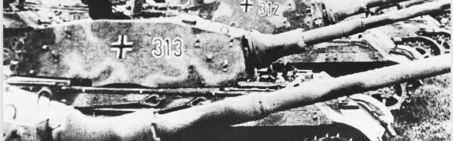 Vene ajaloolane: Stalini kallaletung Hitlerile poleks maailma ajaloos suurt muutnud