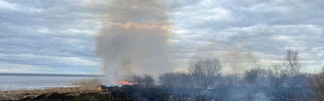 Päästeamet hoiatab: kulupõlengud on hüppeliselt kasvanud