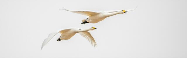 7 põhjust, miks elu kokkusattumused võivad olla palju tähenduslikumad, kui arvad