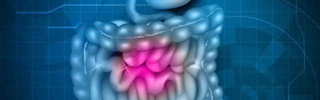 Doktoritöös loodi kliiniline skoor seedetrakti düsfunktsiooni hindamiseks