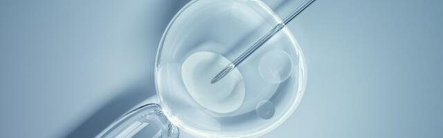 Kaitsmisele tuleb viljatusteemaline väitekiri