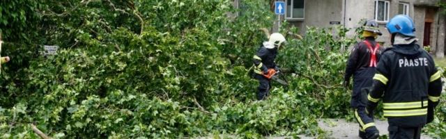 FOTOD | Saaremaal on tormituuled murdnud nii mõnegi puu, kuid ilm näitab nüüd rahunemise märke