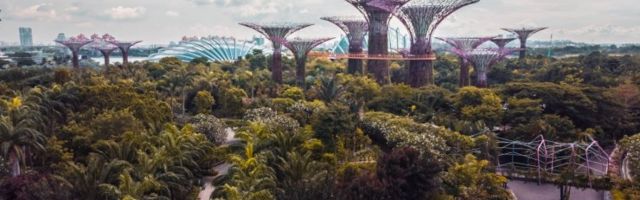 Tuleviku 5G nutilinn: liiklusummikud kaovad, kuritegevus väheneb