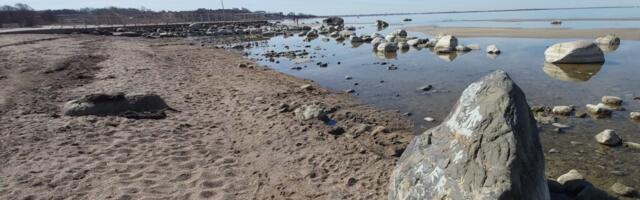 Haabneeme ranna vesi suplemiseks puhas