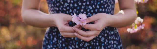 Sotsiaalkindlustusamet sõlmis lepingud naiste tugikeskuste teenuse pakkujatega