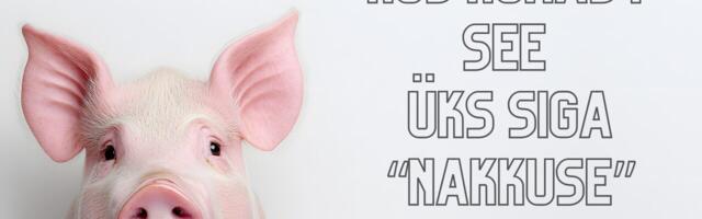 Kõige olulisem asi, millest mitte keegi seatapu saagast ei räägi