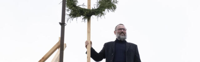 SARIKAPIDU | Viscosas saeti tagasitee läbi