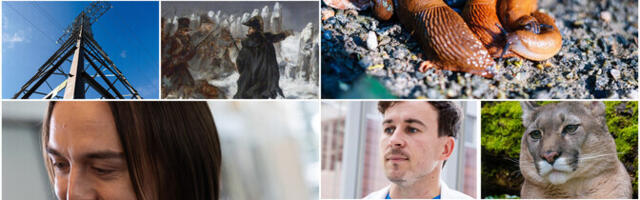 Ülevaade: Novaatori 2025. aasta lugejate lemmiklood