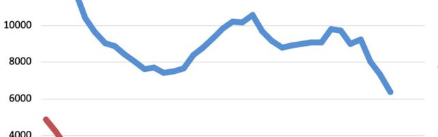 Sibulapõld Männikul