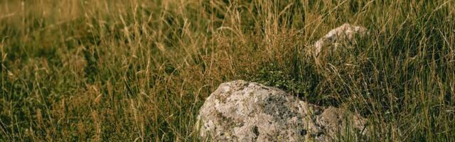 Taastatav ajalooline Seitsmemägi ootab maakive