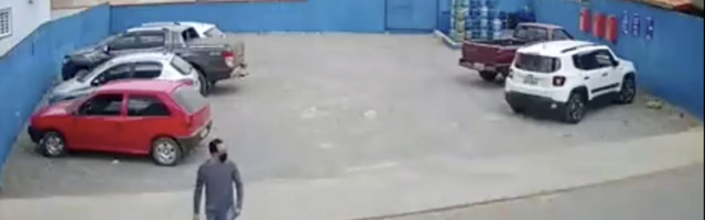 VIDEO: Koer jookseb ülekäigurajal jalakäija pikali