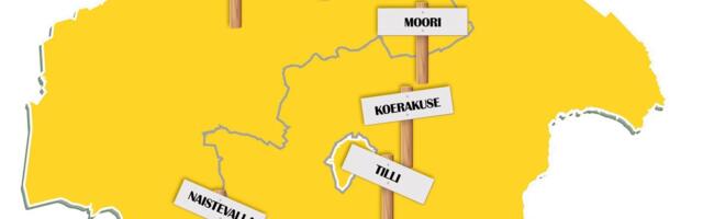 Miks Viljandi Tissimägedest ilma jäi ning kuidas Moori külas ainult mehi võis kohata