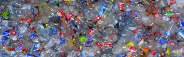 As the EU bans outdated packaging, startups step up with greener options