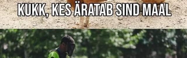 Kuked kes sind äratavad