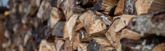 PUIDUTURG | Külm ilm tõstab küttepuude hinda