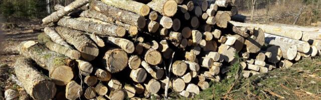 Hakkepuidu lugemine taastuvenergiaks võib lõppeda