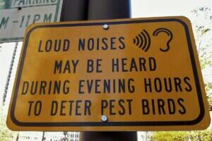 Linnud ja inimesed. Konflikti anatoomia