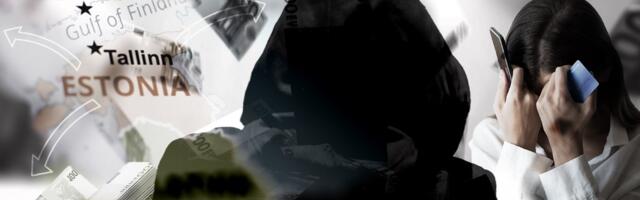 Tallinna naine luges liba-Delfit ja kaotas investeerimispetturitele üle 46 000 euro