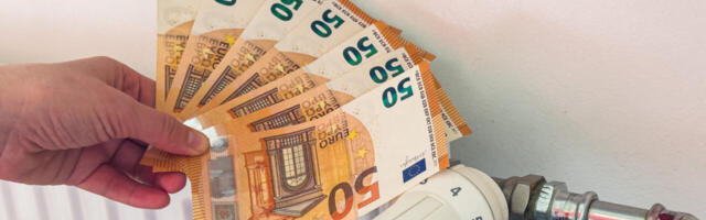 Küsitlus: elektrihinna teeks odavamaks põlevkivijaamad ja valitsuse vahetus