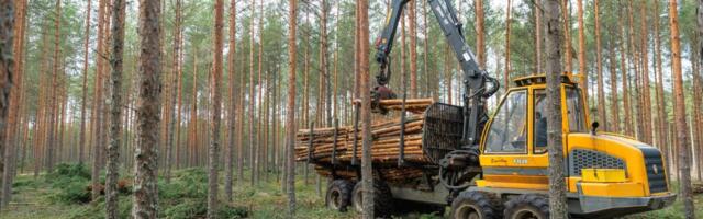 RMK teenis ligi 80 miljonit eurot kasumit